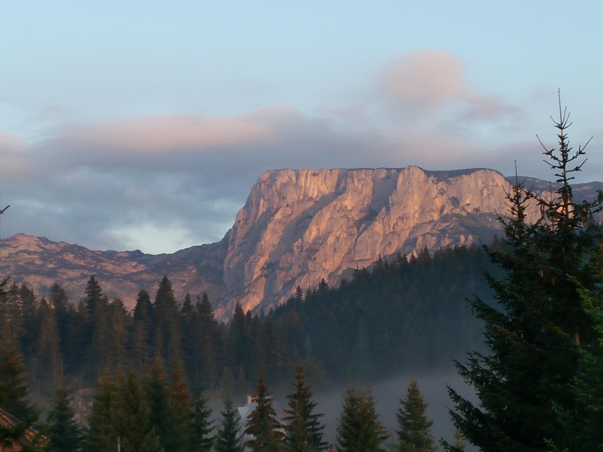 Apartment Durmitor Žabljak Zewnętrze zdjęcie