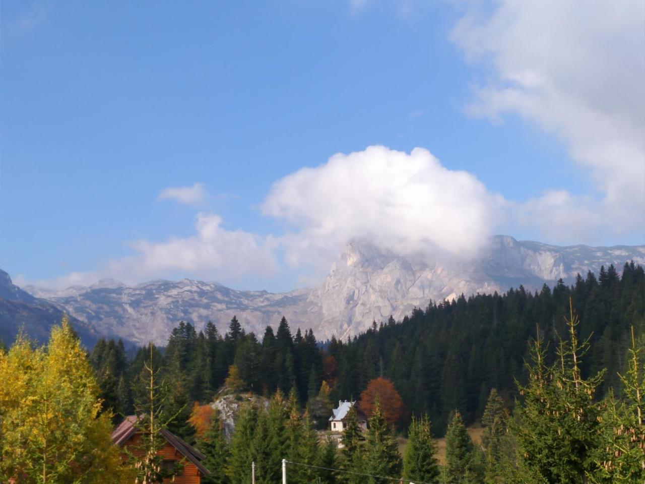 Apartment Durmitor Žabljak Zewnętrze zdjęcie