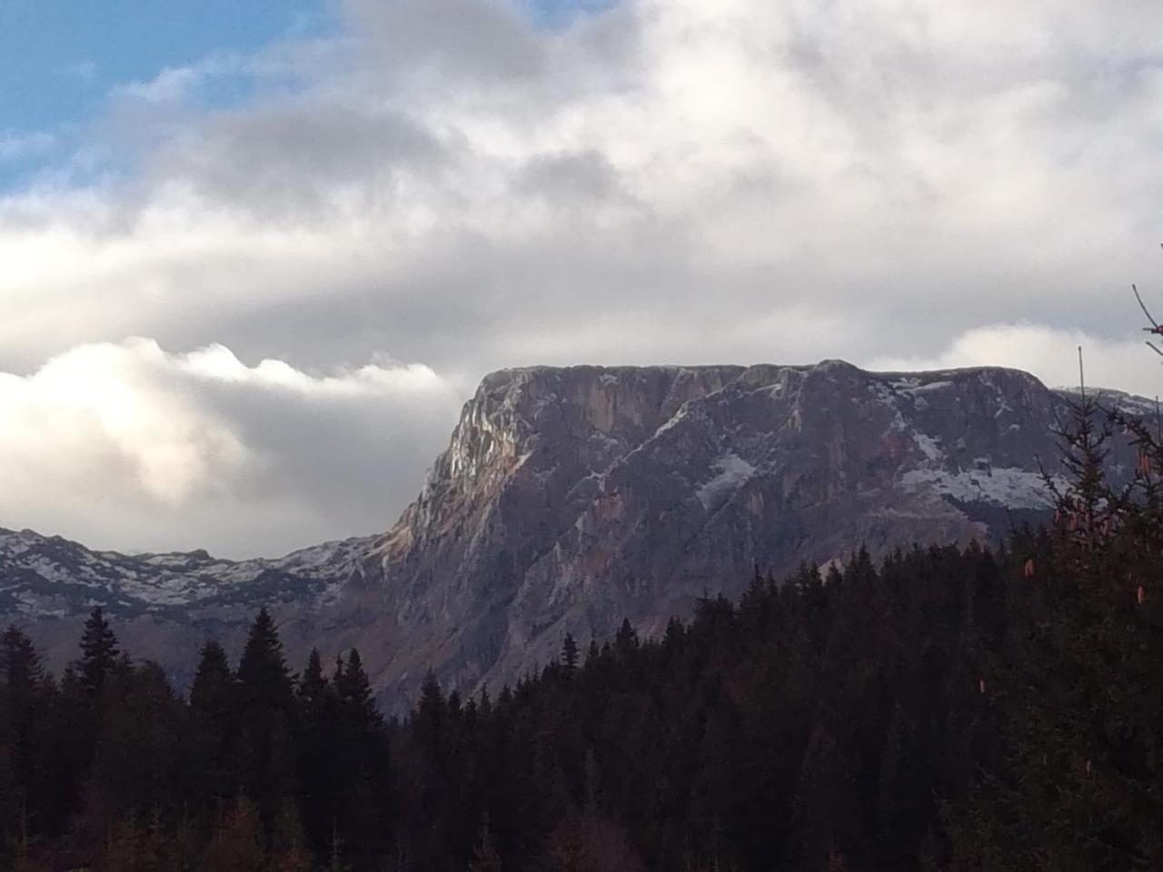 Apartment Durmitor Žabljak Zewnętrze zdjęcie