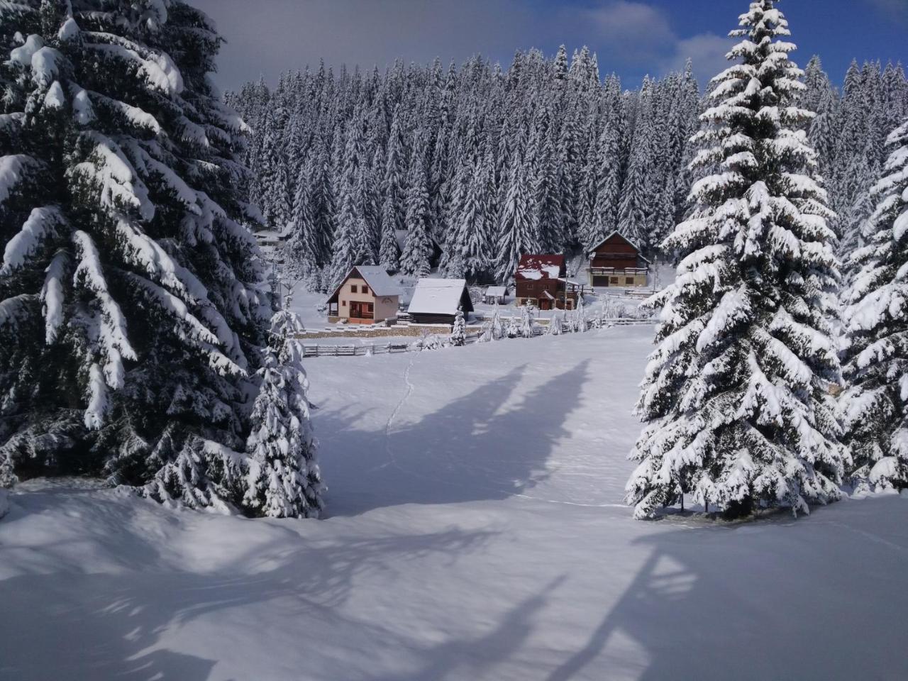 Apartment Durmitor Žabljak Zewnętrze zdjęcie