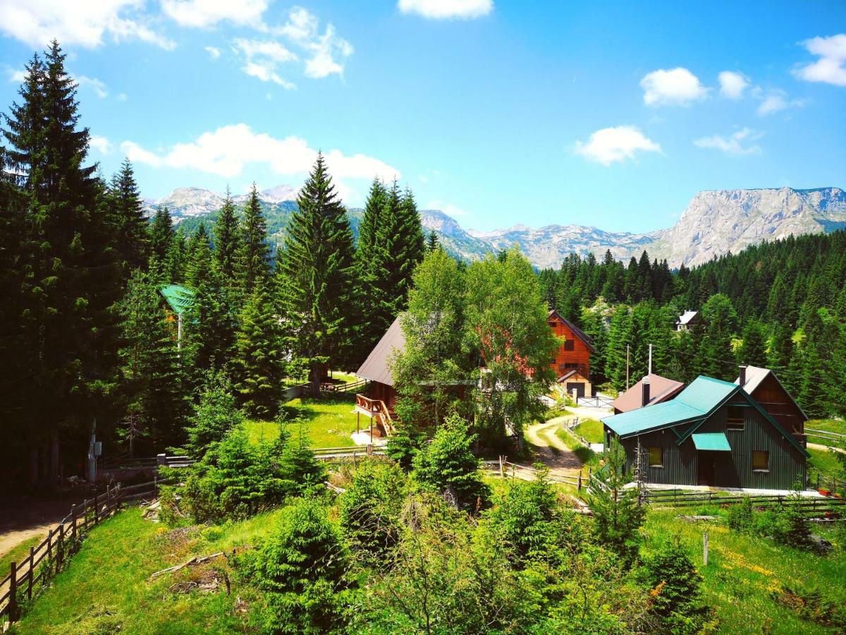 Apartment Durmitor Žabljak Zewnętrze zdjęcie