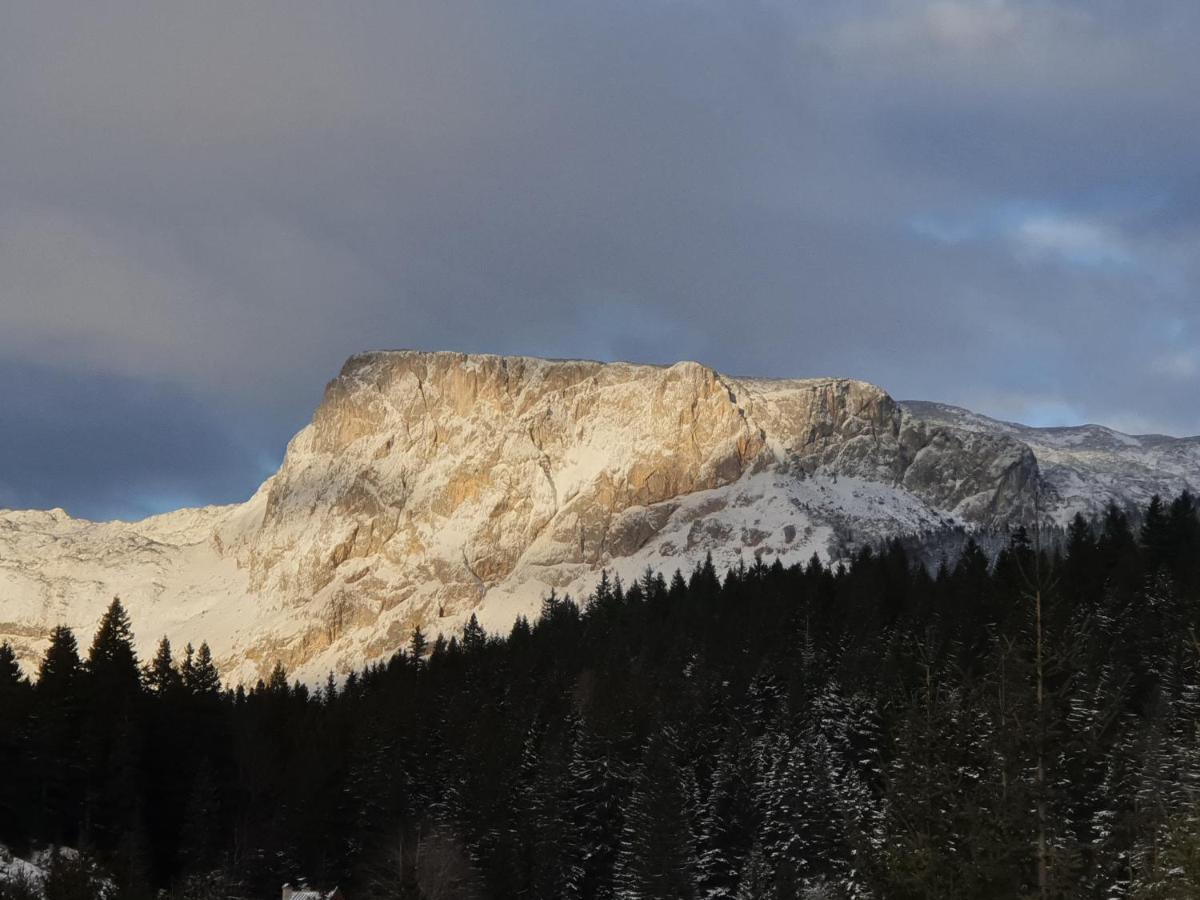 Apartment Durmitor Žabljak Zewnętrze zdjęcie